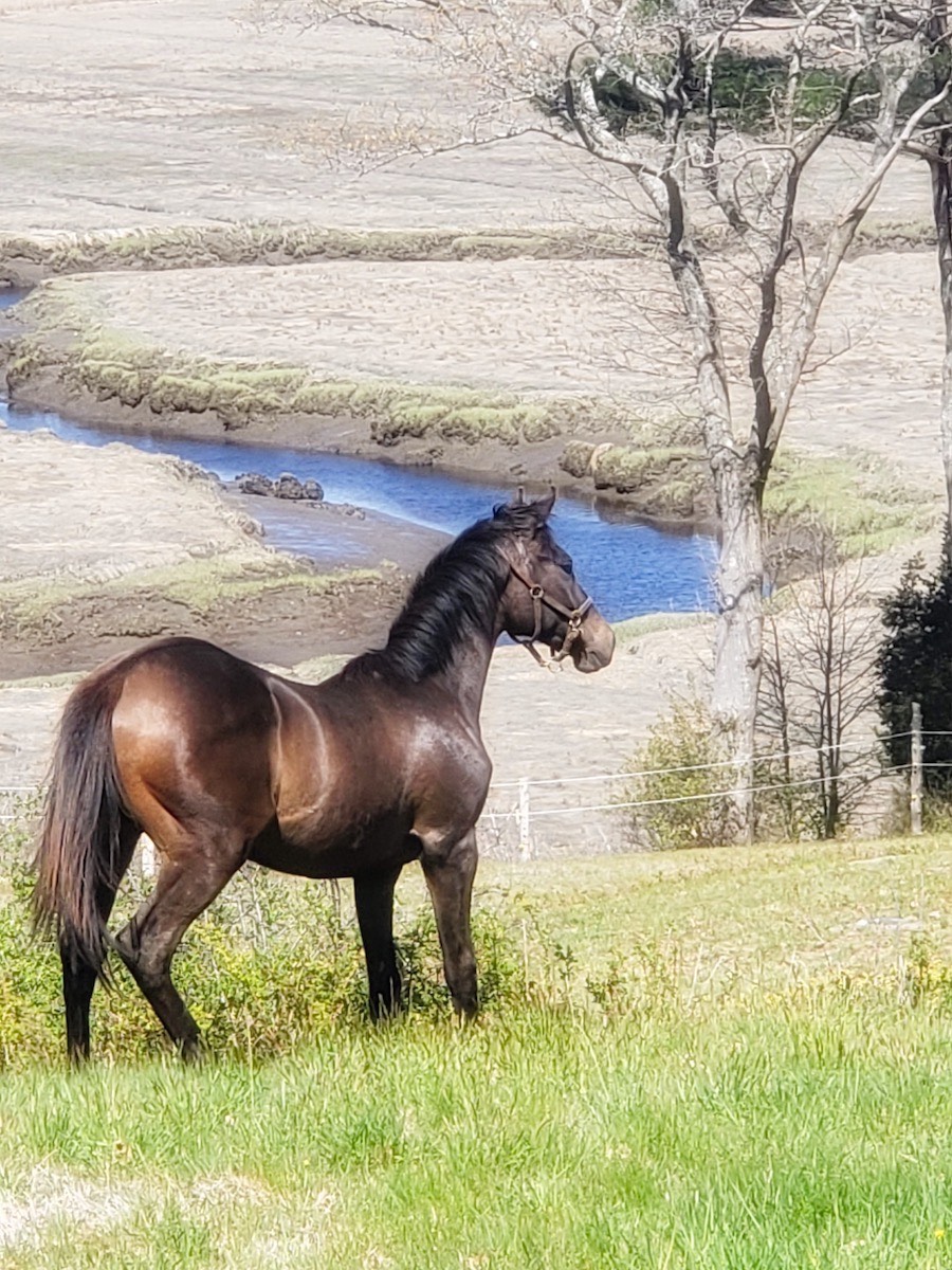 Stacks Image 4482228