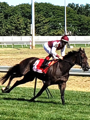 Stacks Image 4482226